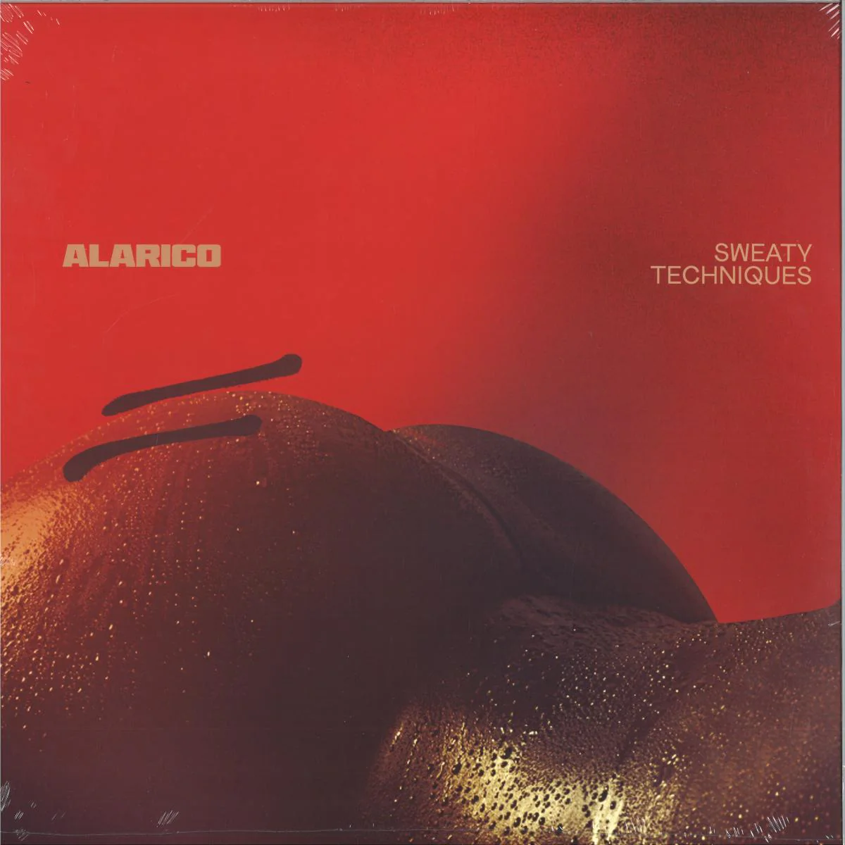 Alarico - Sweaty Techniques  (12")