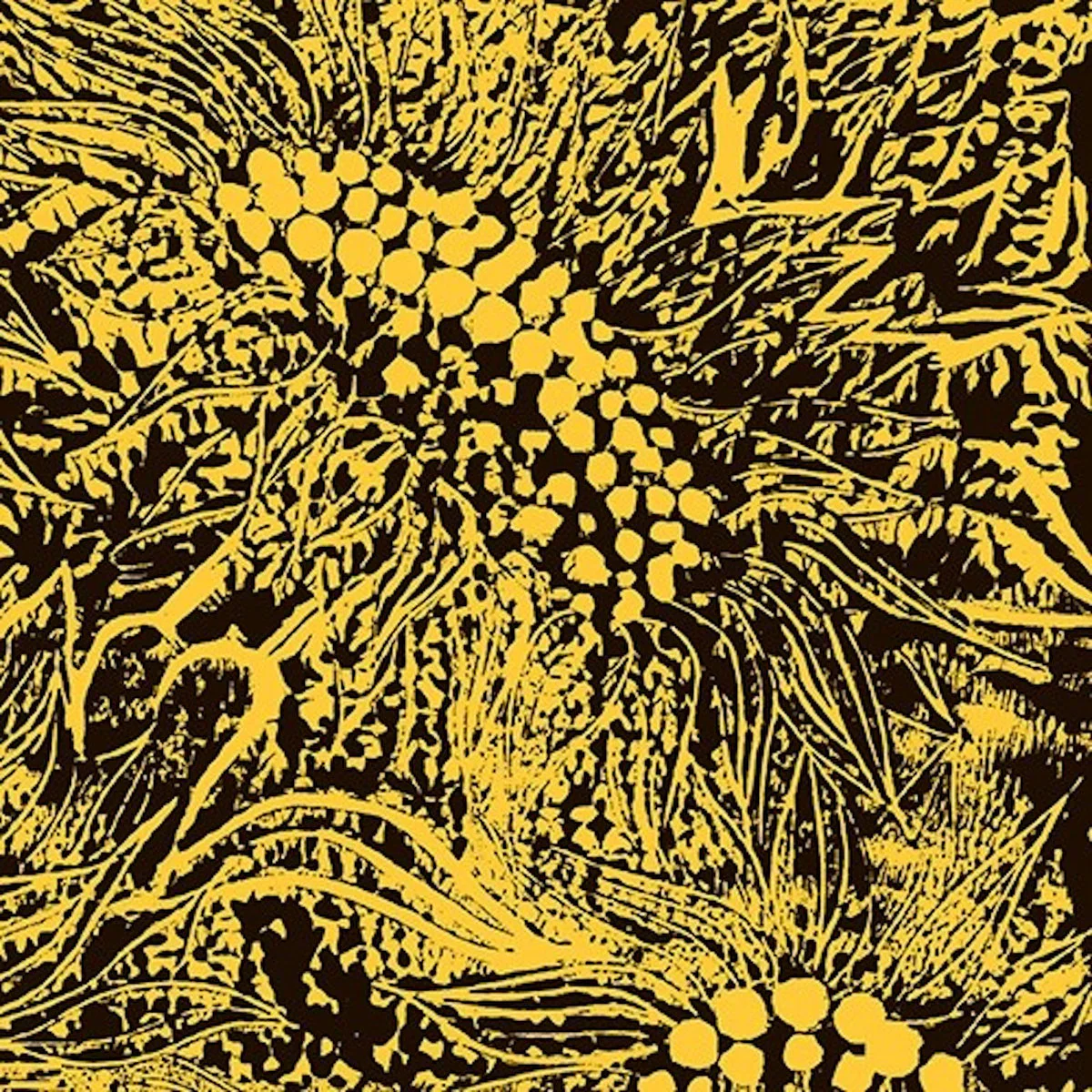 Amanda Whiting - Little Sunflower