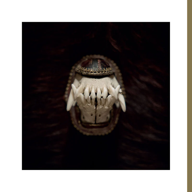 Amenra - De Toorn (Copper Nugget Coloured 12")