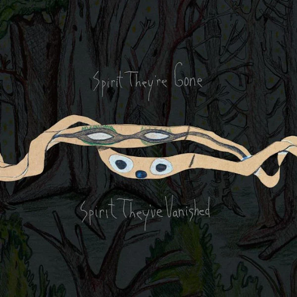 Animal Collective - Spirit They're Gone, Spirit They've Vanished (LP) - Image 3