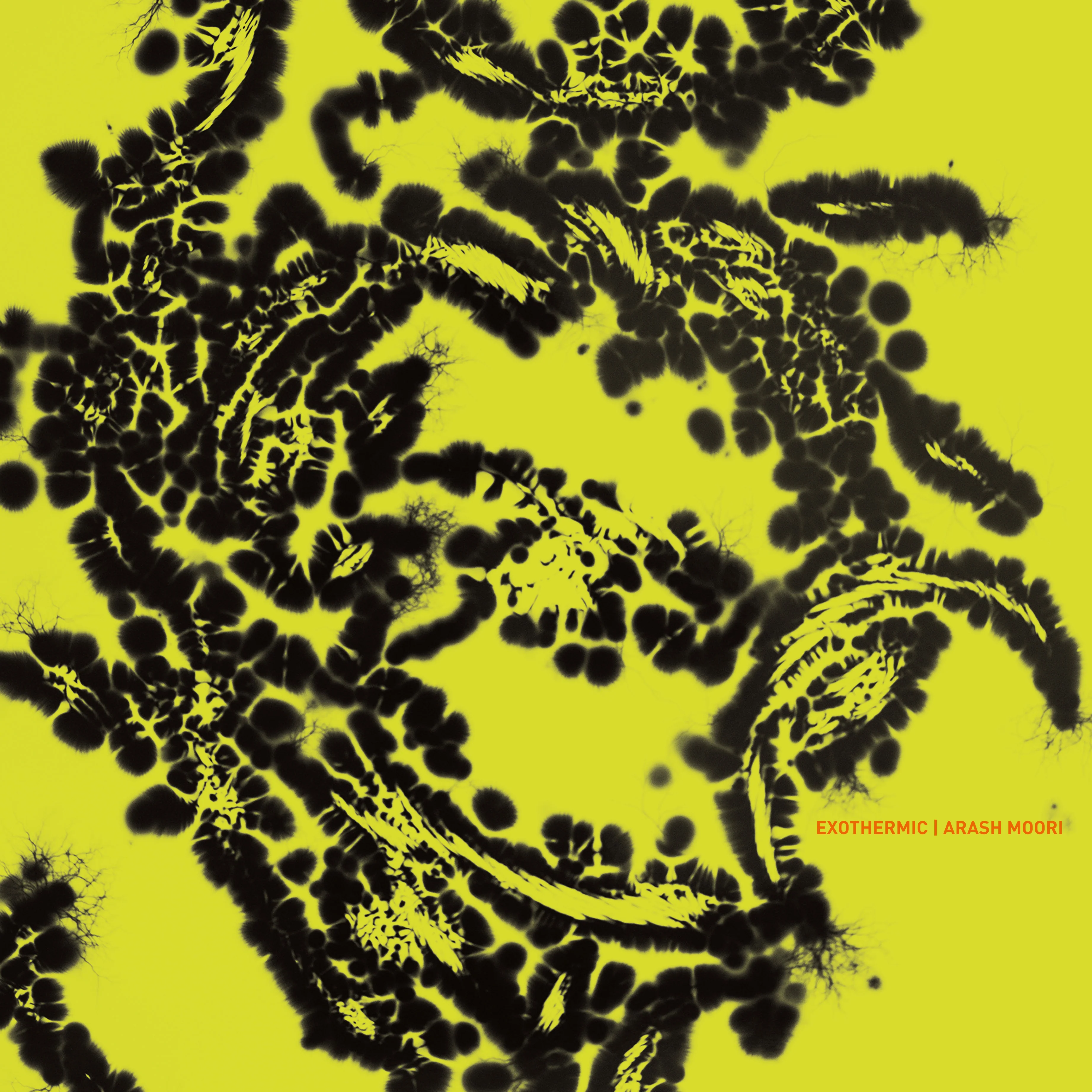 Arash Moori - Exothermic