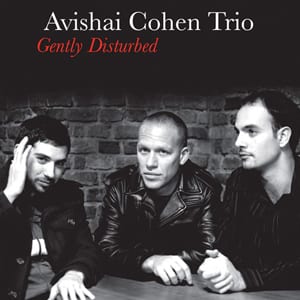Avishai Cohen Trio - Gently Disturbed (LP) - Image 2