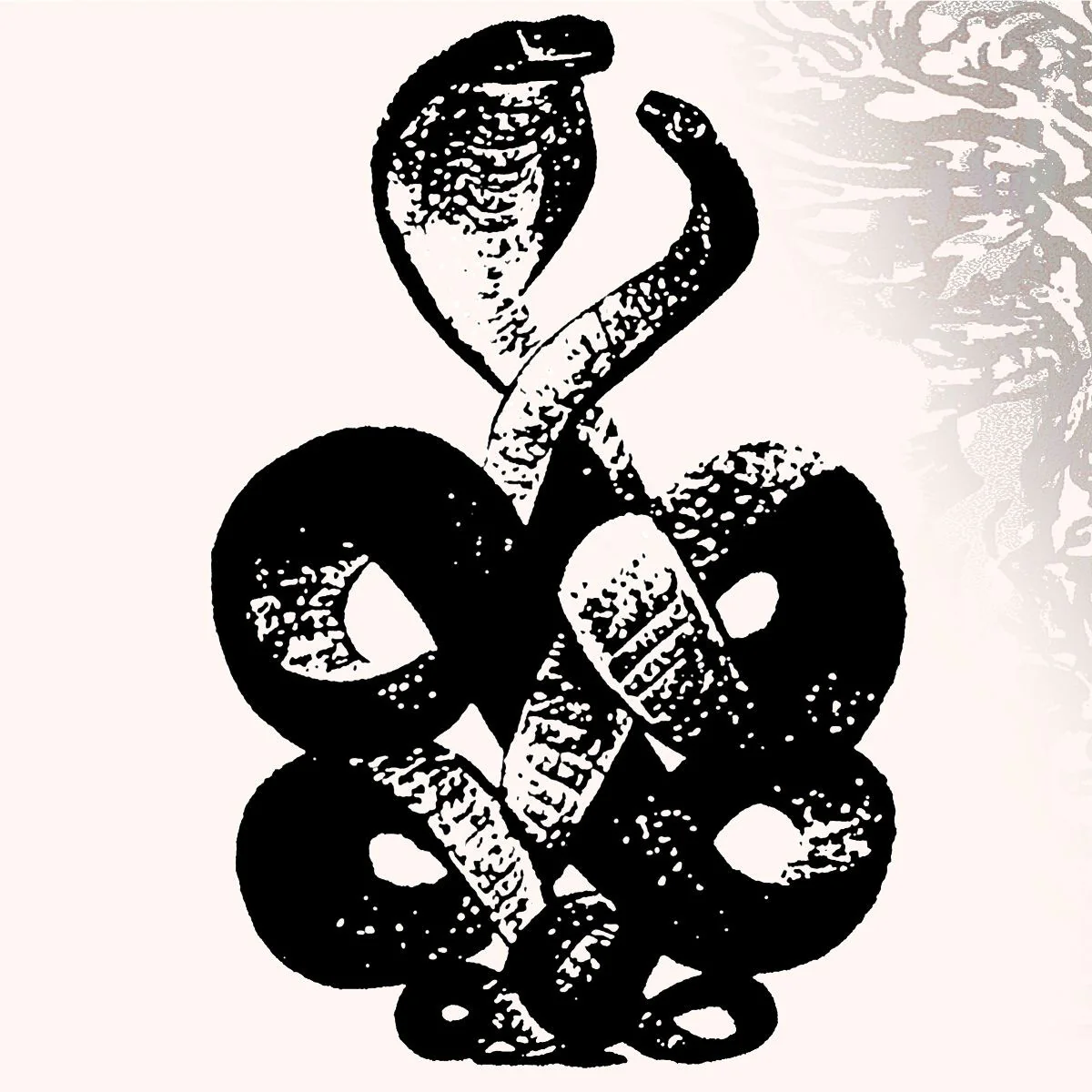 Bardo Pond - Volume 4 & 5 (LP)