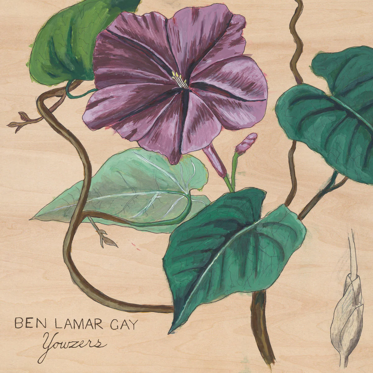 Ben Lamar Gay - Yowzers (LP) - Image 2