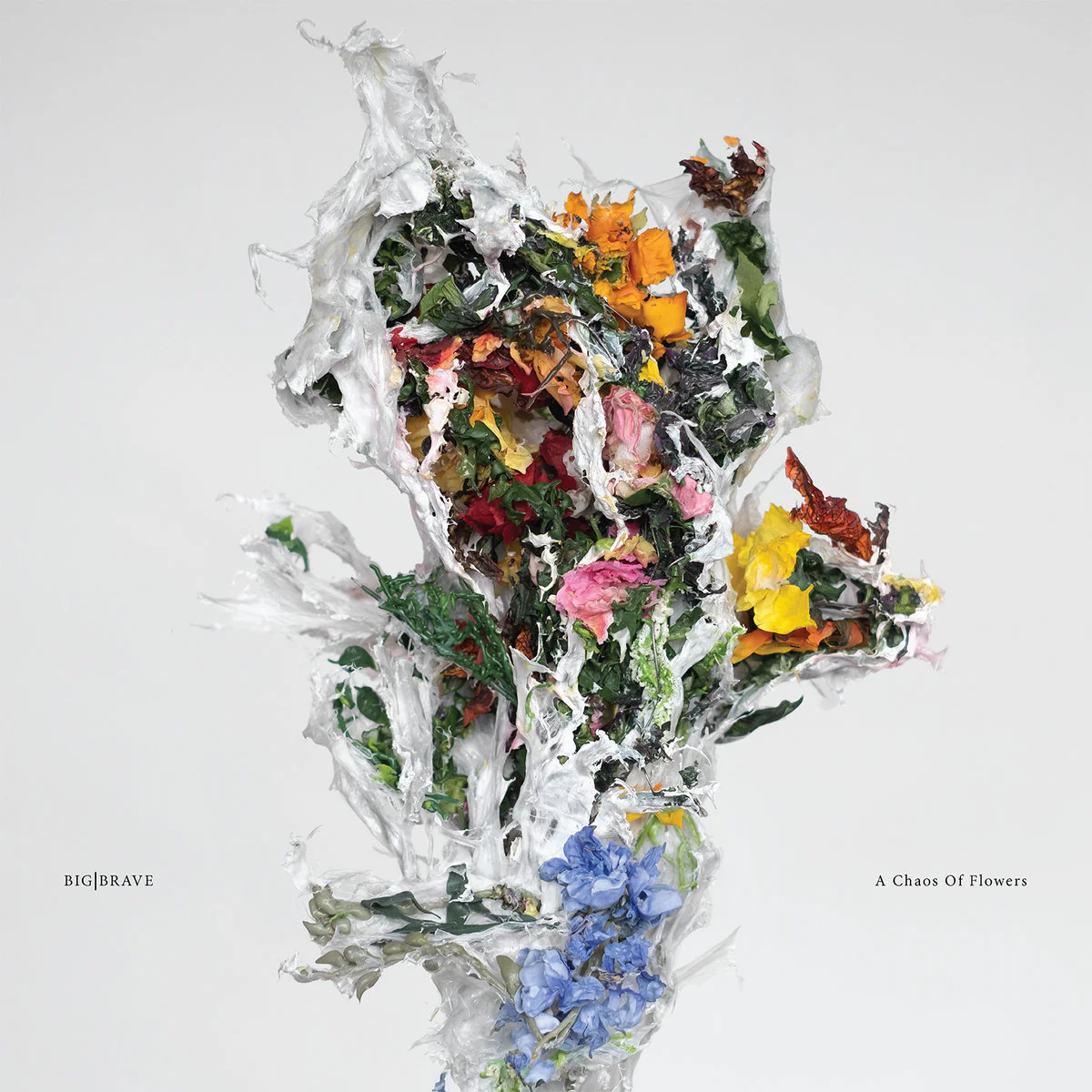 BIG|BRAVE - A Chaos Of Flowers