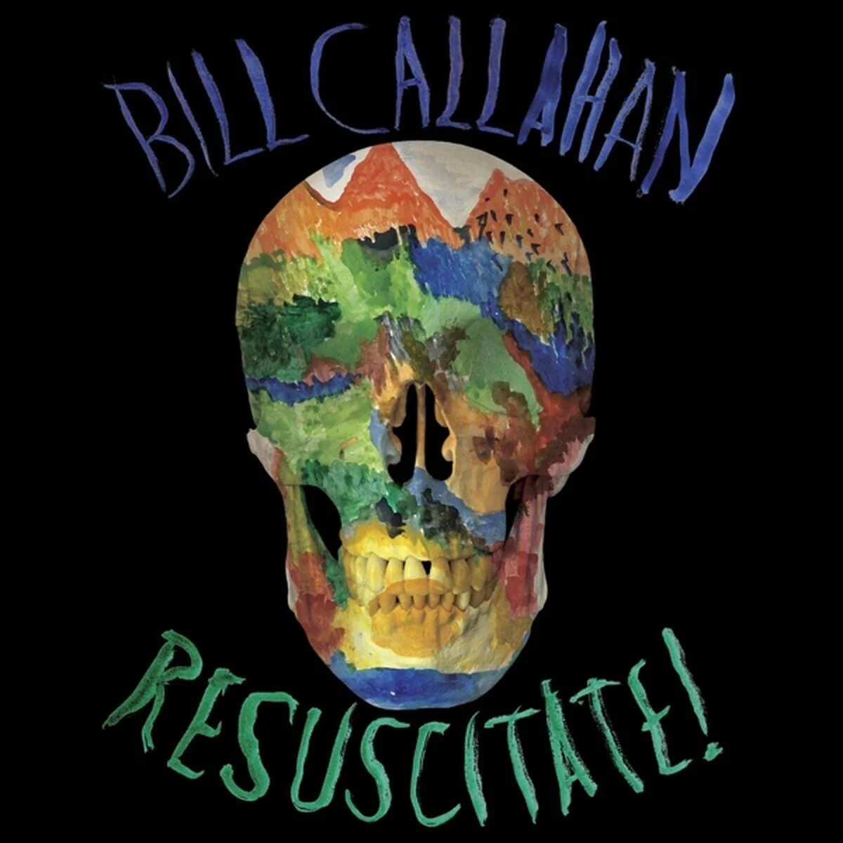 Bill Callahan - Resuscitate! (LP) - Image 2
