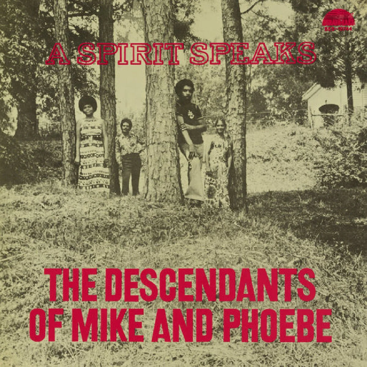 Bill Lee - The Descendants Of Mike And Phoebe - A Spirit Speaks (LP) - Image 2