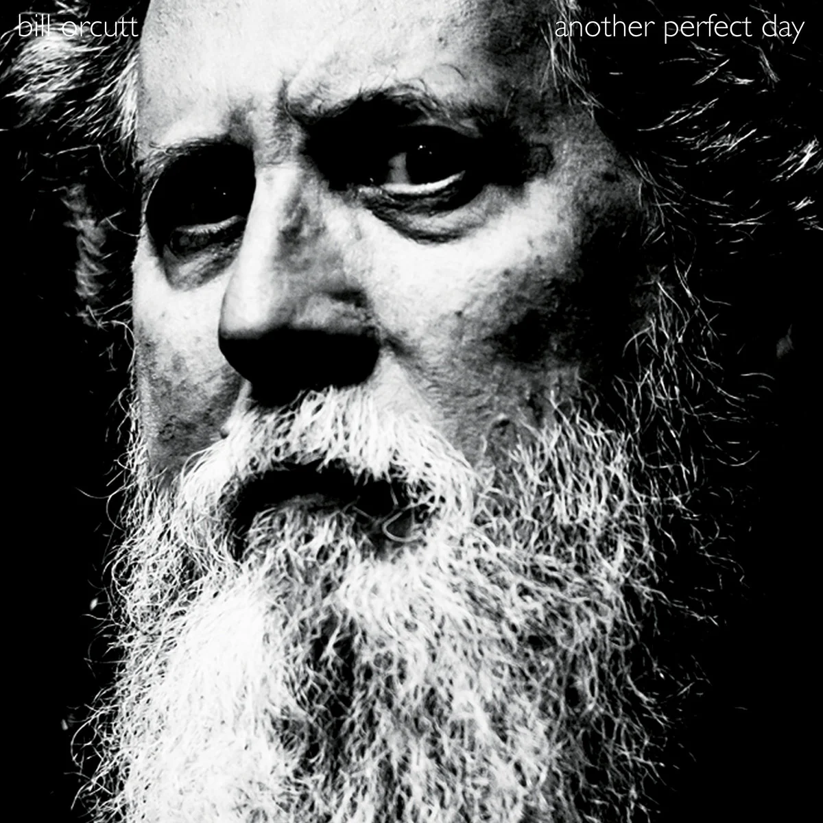 Bill Orcutt - Another Perfect Day (LP) - Image 2