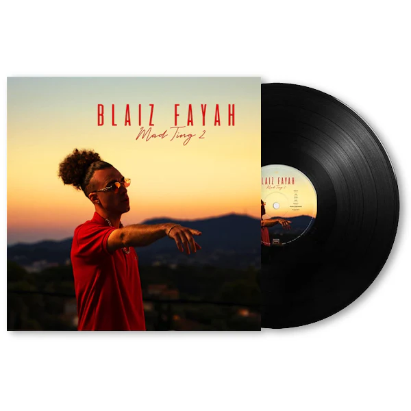 Blaiz Fayah - Mad Ting 2 (LP)