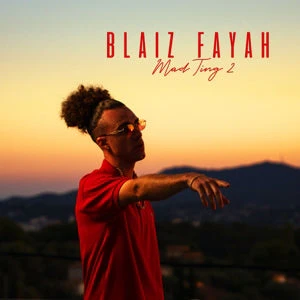 Blaiz Fayah - Mad Ting 2 (LP) - Image 2