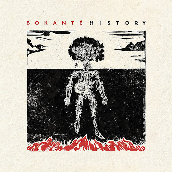 Bokante - History (LP)