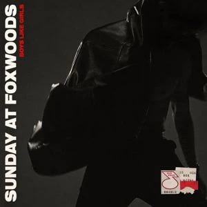 Boys Like Girls - Sunday At Foxwoods (LP) - Image 2