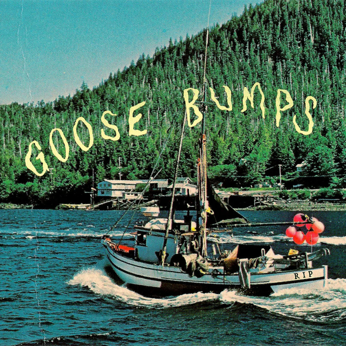 Boyscott - Goose Bumps (Blue Vinyl LP) - Image 2