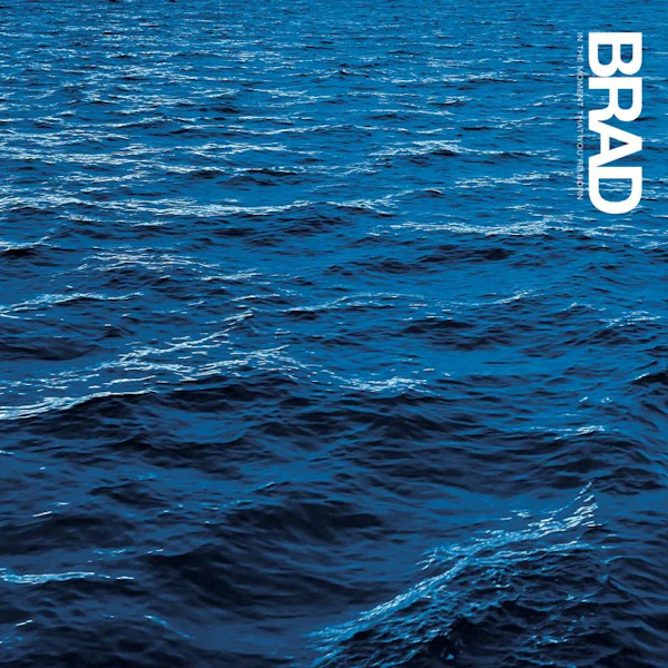 Brad - In the Moment That You're Born (Pink LP) - Image 3