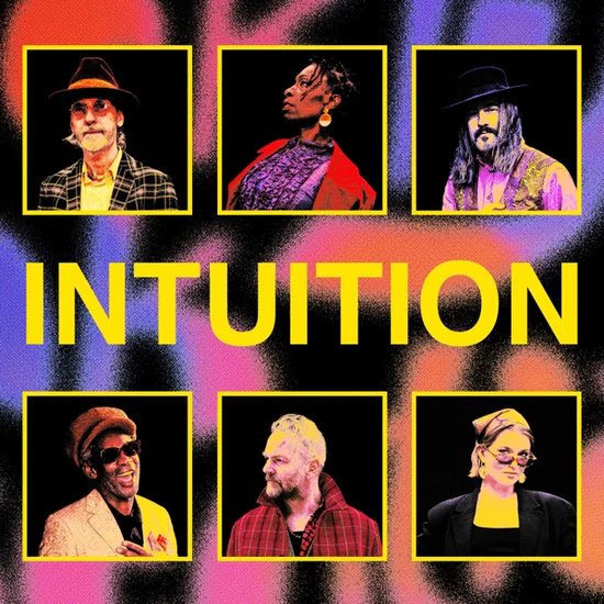 Brooklyn Funk Essentials - Instuition (LP) - Image 2
