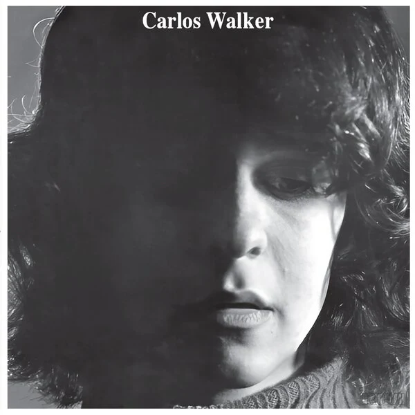 Carlos Walker - A Frauta De Pa (LP) - Image 2