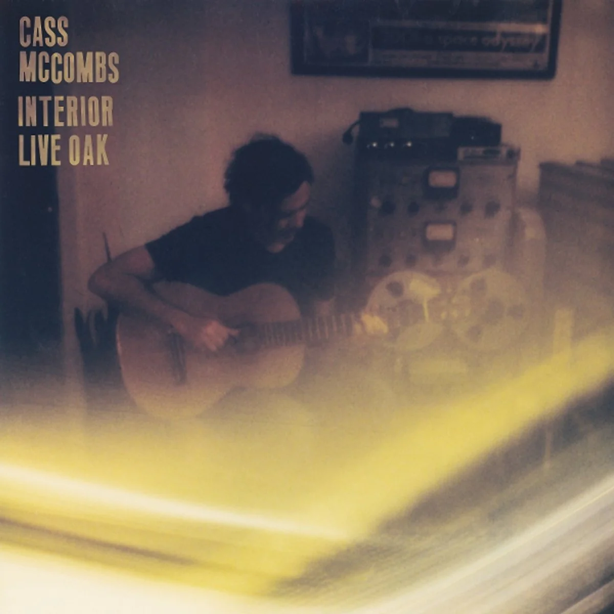 Cass McCombs - Interior Live Oak (LP) - Image 2