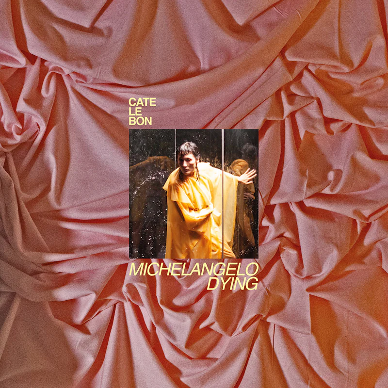Cate Le Bon - Michelangelo Dying (LP) - Image 2