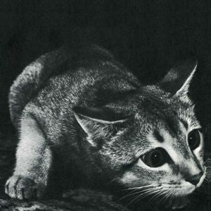 Cindy - Cindy (LP) - Image 2
