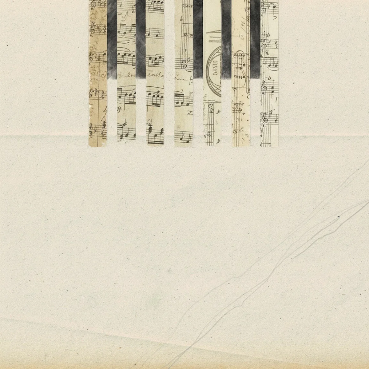 Coh & Wladimir Schall - Covers (LP) - Image 2