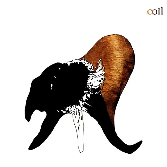 Coil - Black Antlers (Clear Smoke Vinyl LP) - Image 2