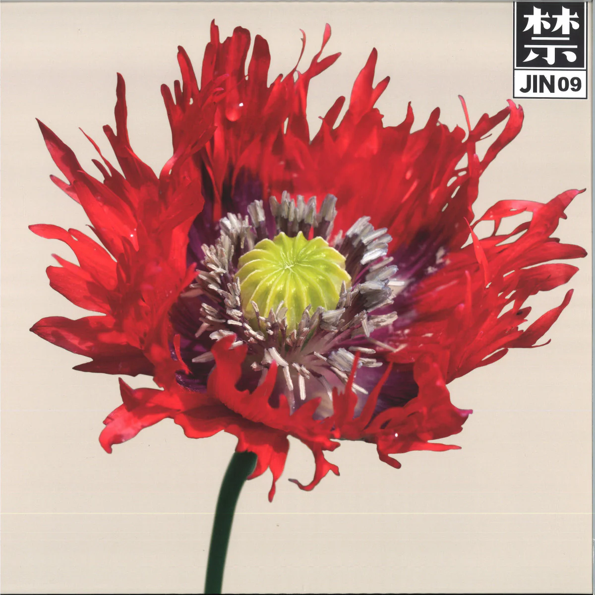 Cosmo - JIN09 (12")