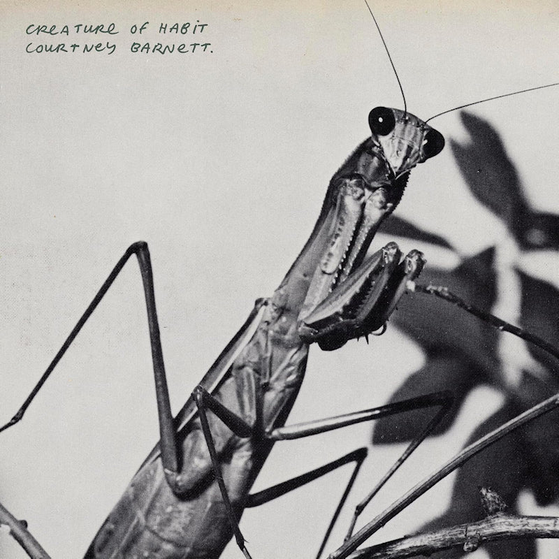 Courtney Barnett - Creature Of Habit (Caramel Vinyl LP) - Image 2