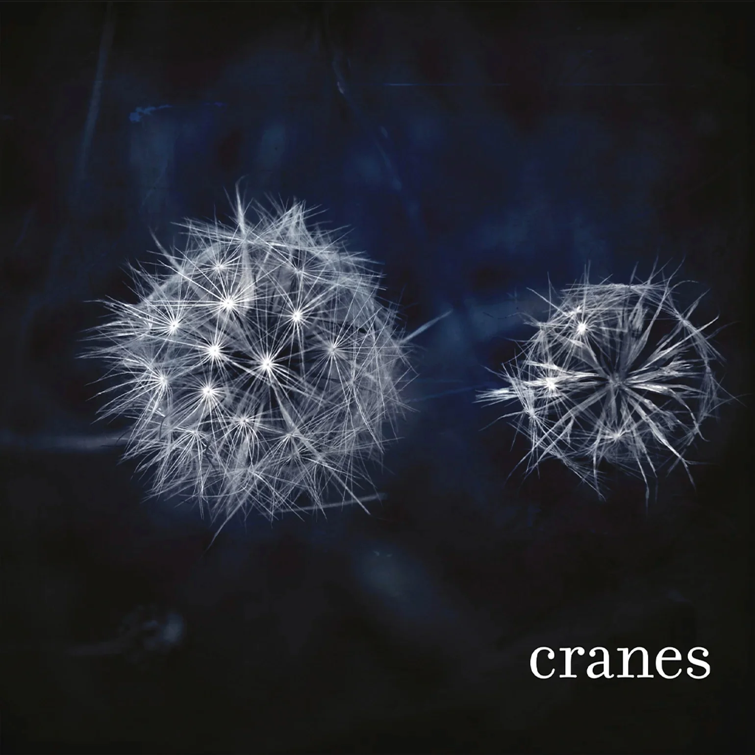Cranes - Cranes (Silver Vinyl LP) - Image 3