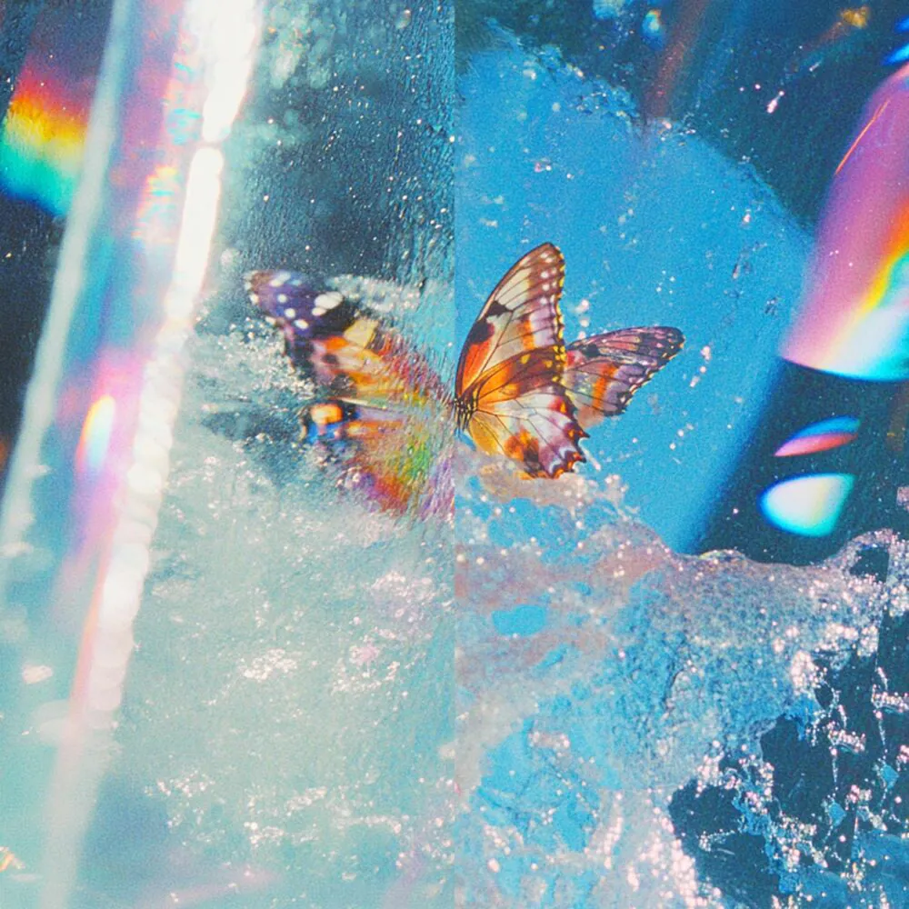 Daphni - Butterfly (LP) - Image 2