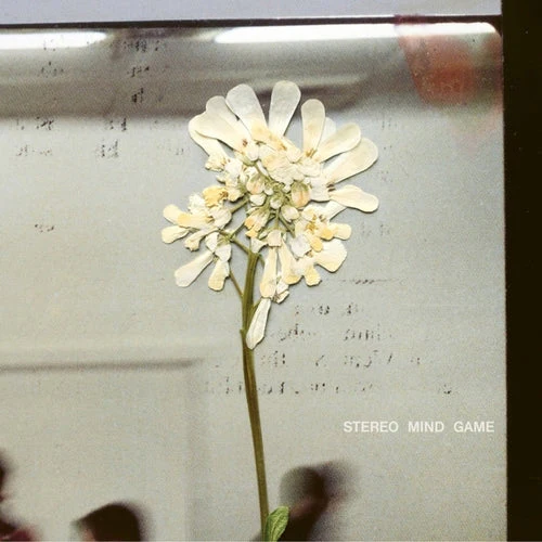 Daughter - Stereo Mind Game (Coloured LP) - Image 3