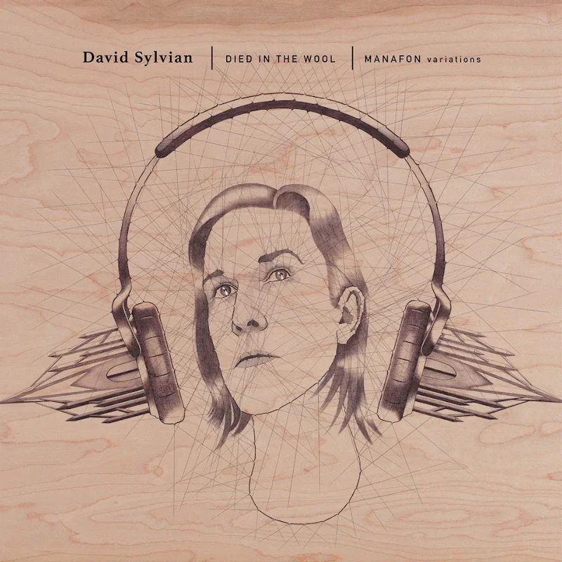 David Sylvian - Died in the Wool - Manafon Variations (LP) - Image 2