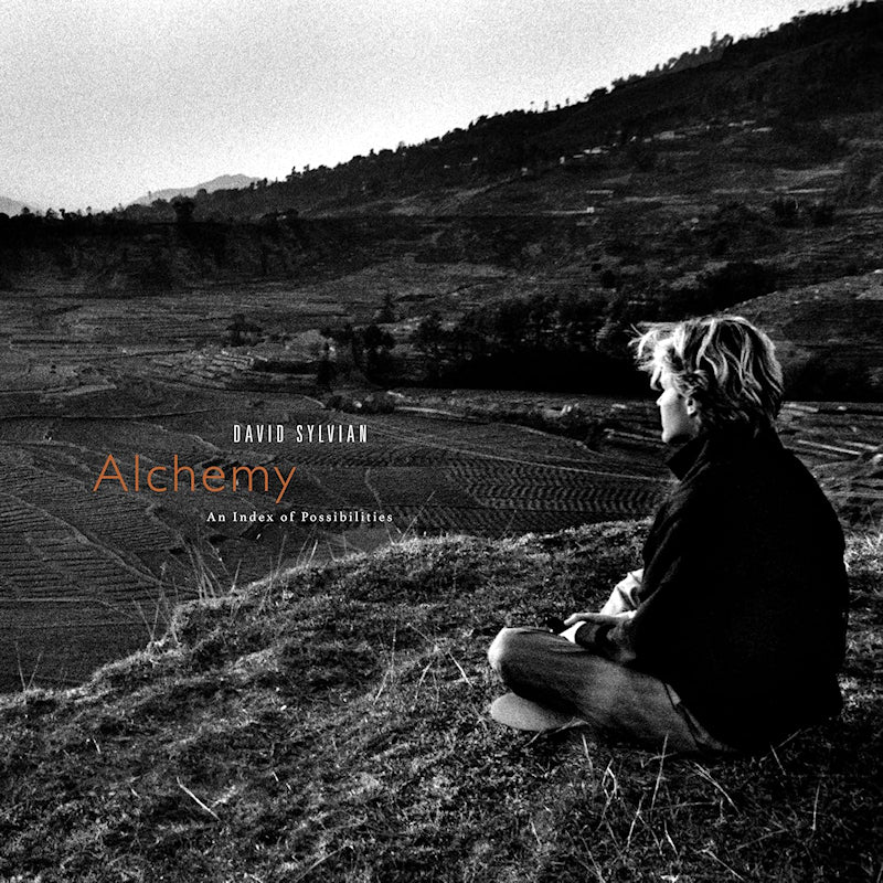 David Sylvian & Jon Hassell - Alchemy An Index Of Possibilities (Coloured Vinyl LP) - Image 2