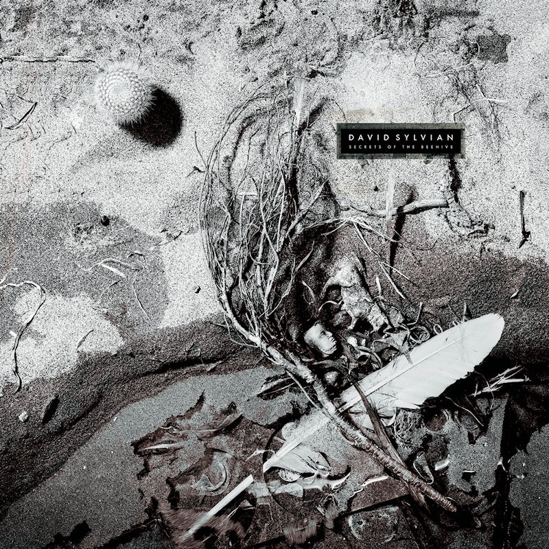 David Sylvian - Secrets Of The Beehive (Corona Yellow & Black Vinyl LP) - Image 2