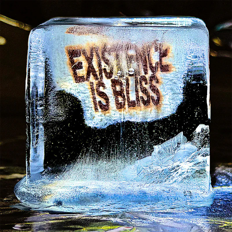 Deadletter - Existence Is Bliss (Limited Edition Sparkle Vinyl LP) - Image 3
