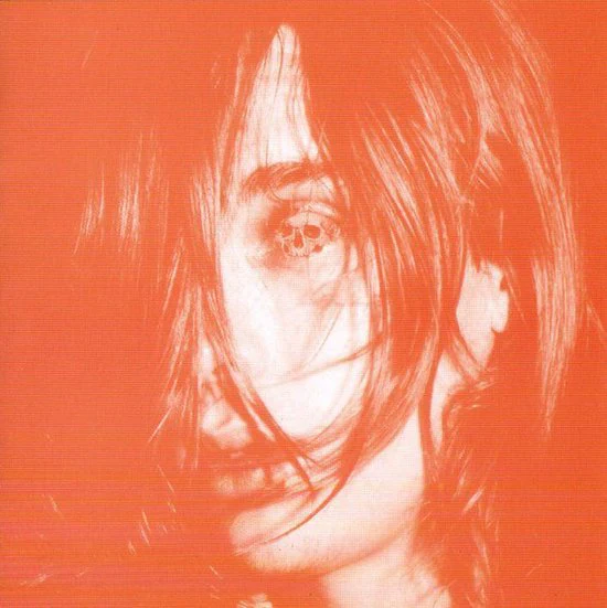 Deerhunter - Microcastle / Weird Era Cont.
