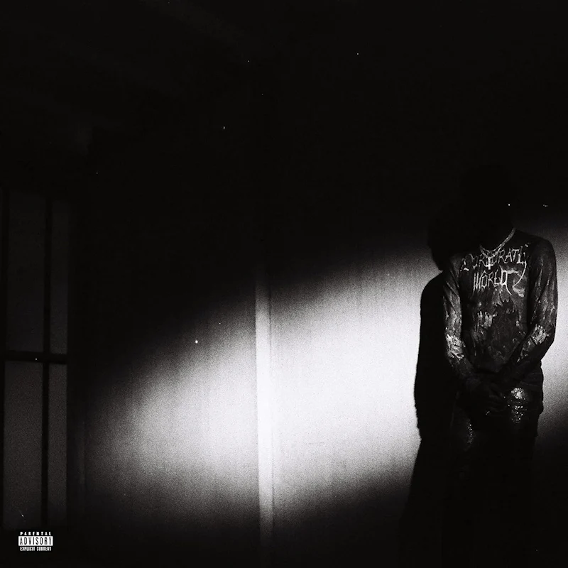 Destroy Lonely - No Stylist (LP)