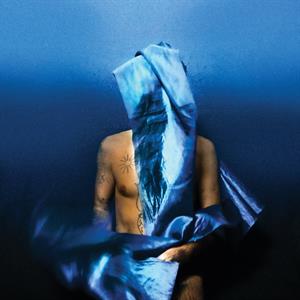 Devendra Banhart - Flying Wig (Opaque Blue Vinyl)