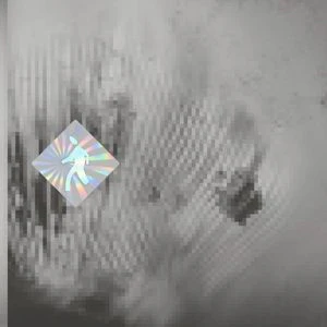 Discovery Zone - Quantum Web (LP) - Image 2