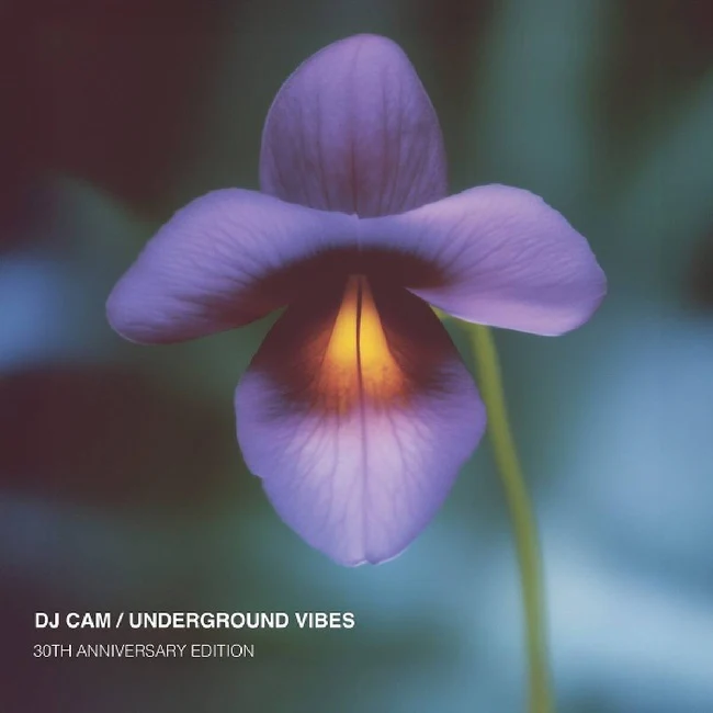 Dj Cam - Underground Vibes (LP)