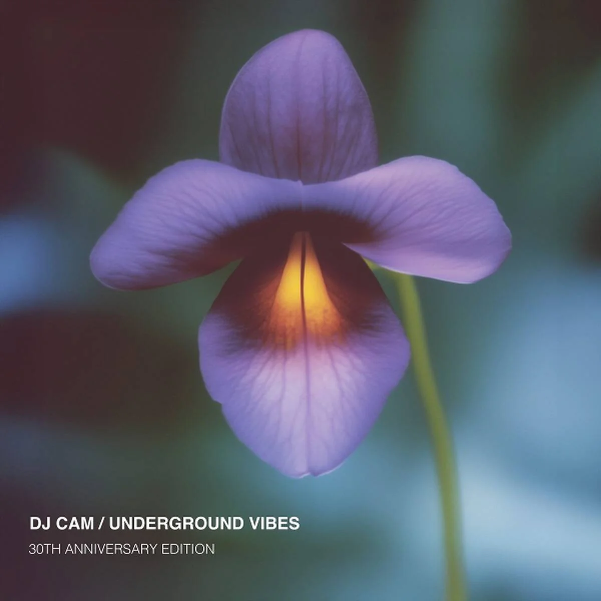 Dj Cam - Underground Vibes (LP) - Image 2