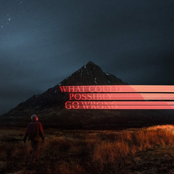 Dominic Fike - What Could Possibly Go Wrong (LP)