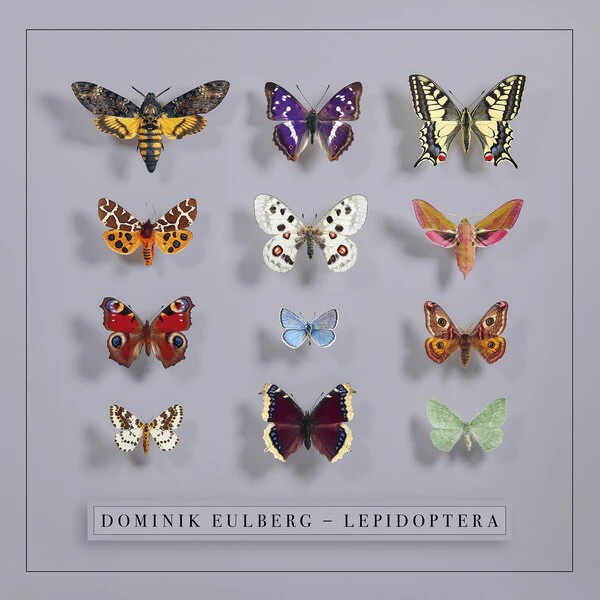 Dominik Eulberg - Lepidoptera (LP) - Image 2