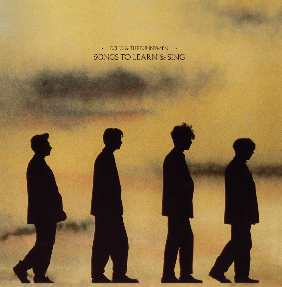 Echo & The Bunnymen - Songs To Learn & Sing (LP)