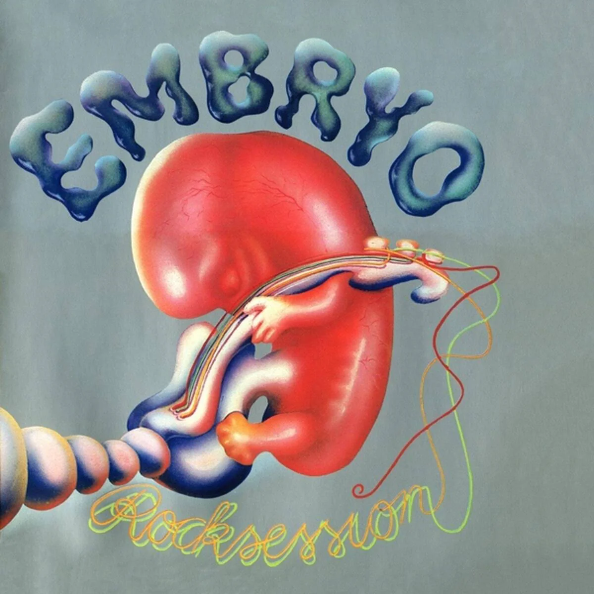 Embryo - Rocksession (LP) - Image 2