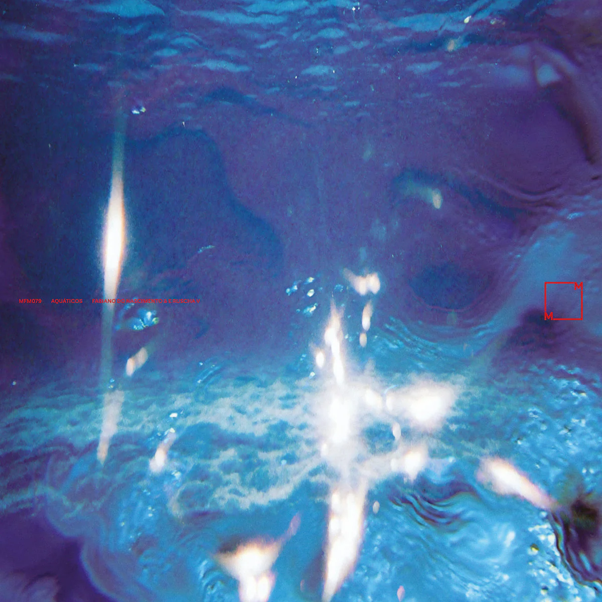 Fabiano Do Nascimento & E Ruscha V - Aquaticos (LP) - Image 2