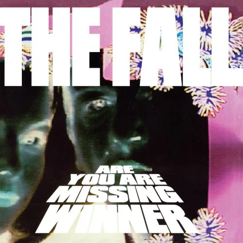 Fall, The - Are You Are Missing Winner (25th Anniversary Edition) (Pink and Black Swirl Vinyl LP) - Image 2