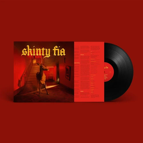 Fontaines D.C. - Skinty Fia (LP) - Image 2