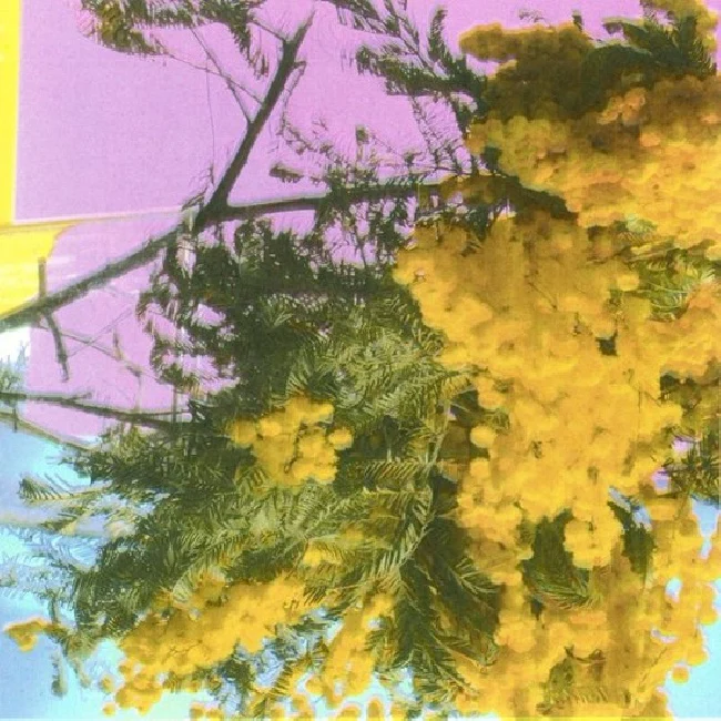 Four Tet - Into Dust (Single Sided 12")