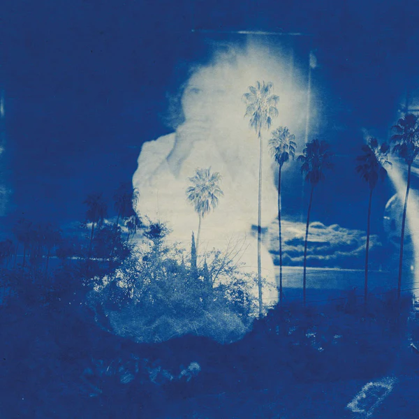 Fruit Bats - A River Running To Your Heart (Blue & Bone) (Blue & Bone LP) - Image 3