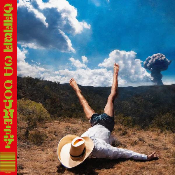 Geese - 3D Country (LP) - Image 3